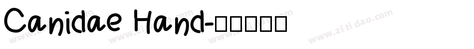 Canidae Hand字体转换